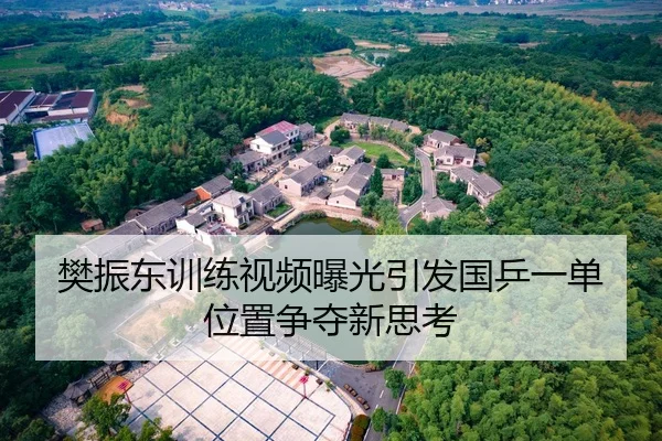 樊振东训练视频曝光引发国乒一单位置争夺新思考